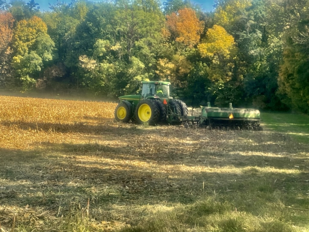 Planting cover crops in fall
